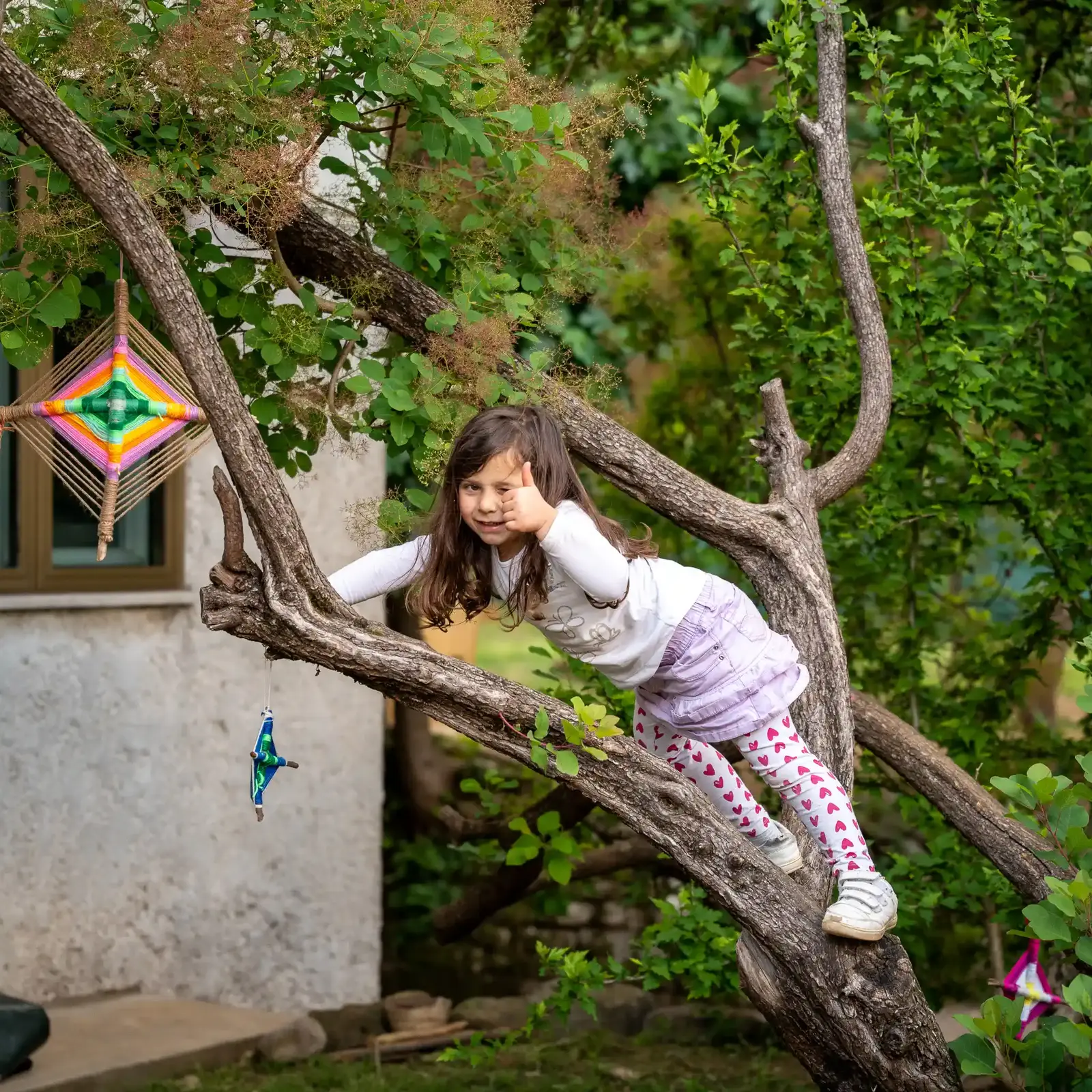 Bambina su albero