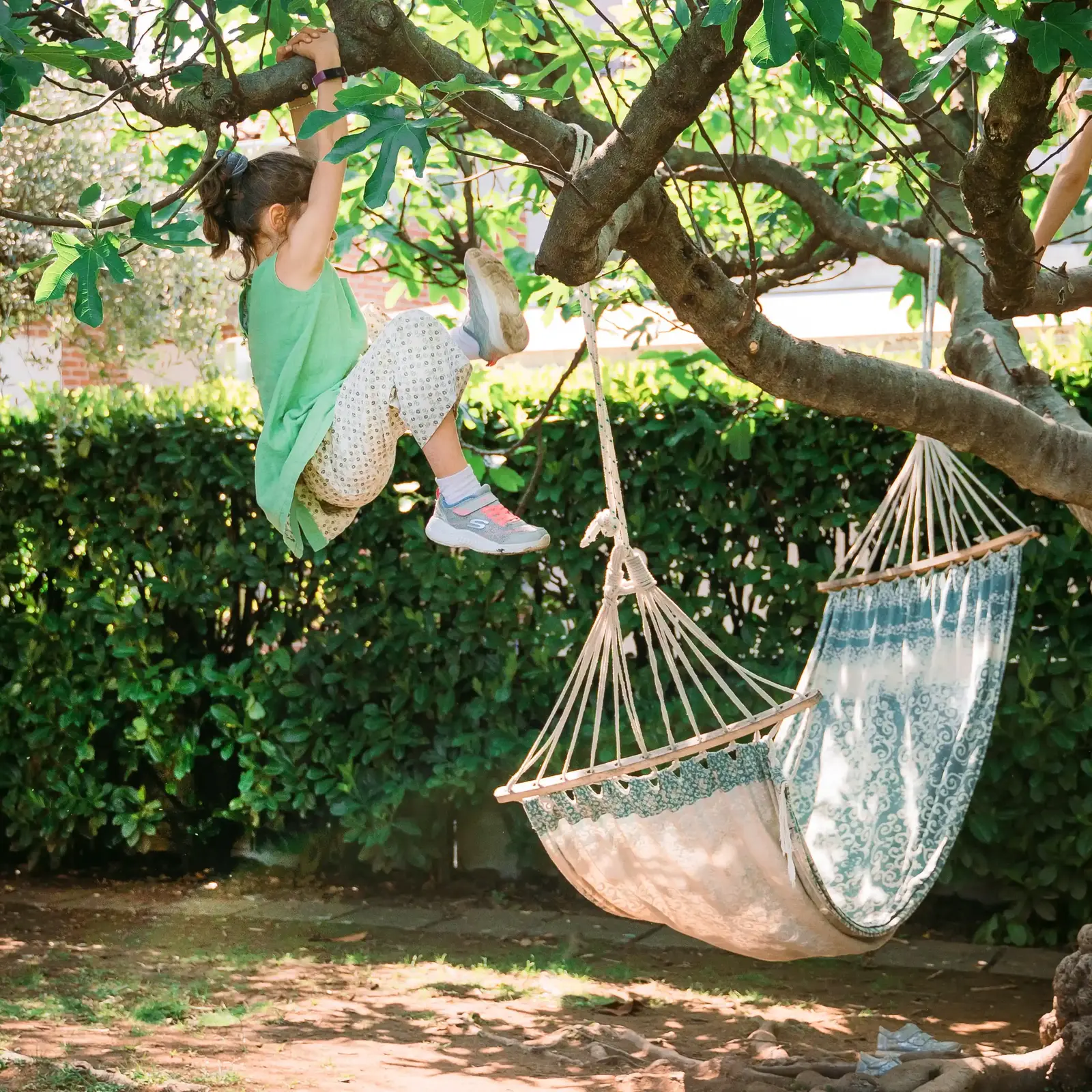 Bambina su albero e amaca