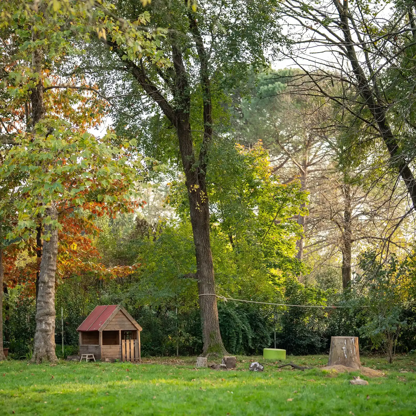 Giardino della scuola