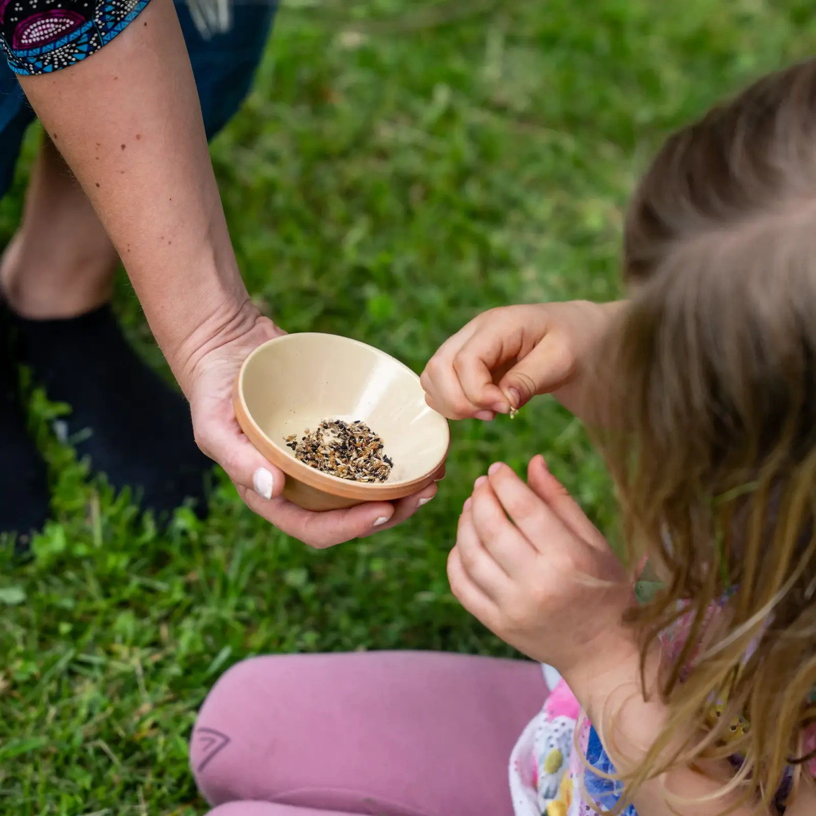 Seme nella mano Seme nella mano